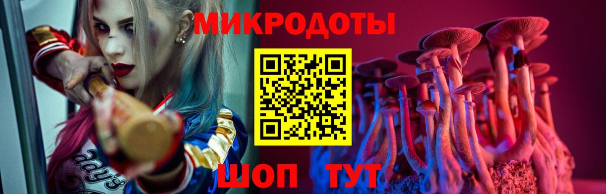 Волгодонск  Галлюциногенные грибы Psilocybine cubensis  купить наркотики сайты  Вход с VPN 
