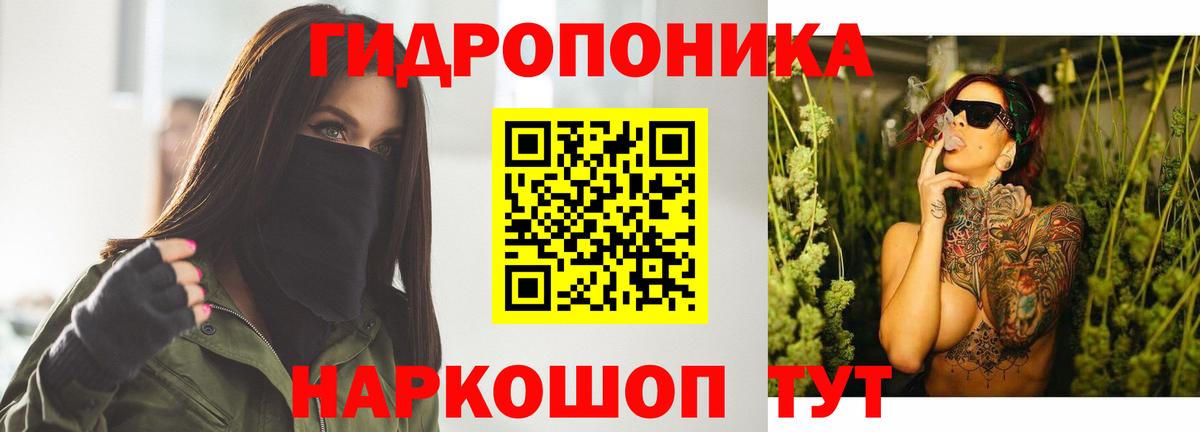 Шишки марихуана план  Вход с VPN  Шишки марихуана Bruce Banner  Волгодонск 
